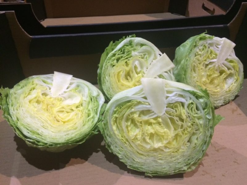 ОВОЧІ - САЛАТ АЙСБЕРГ